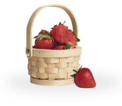 basket strawberry