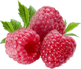 raspberry